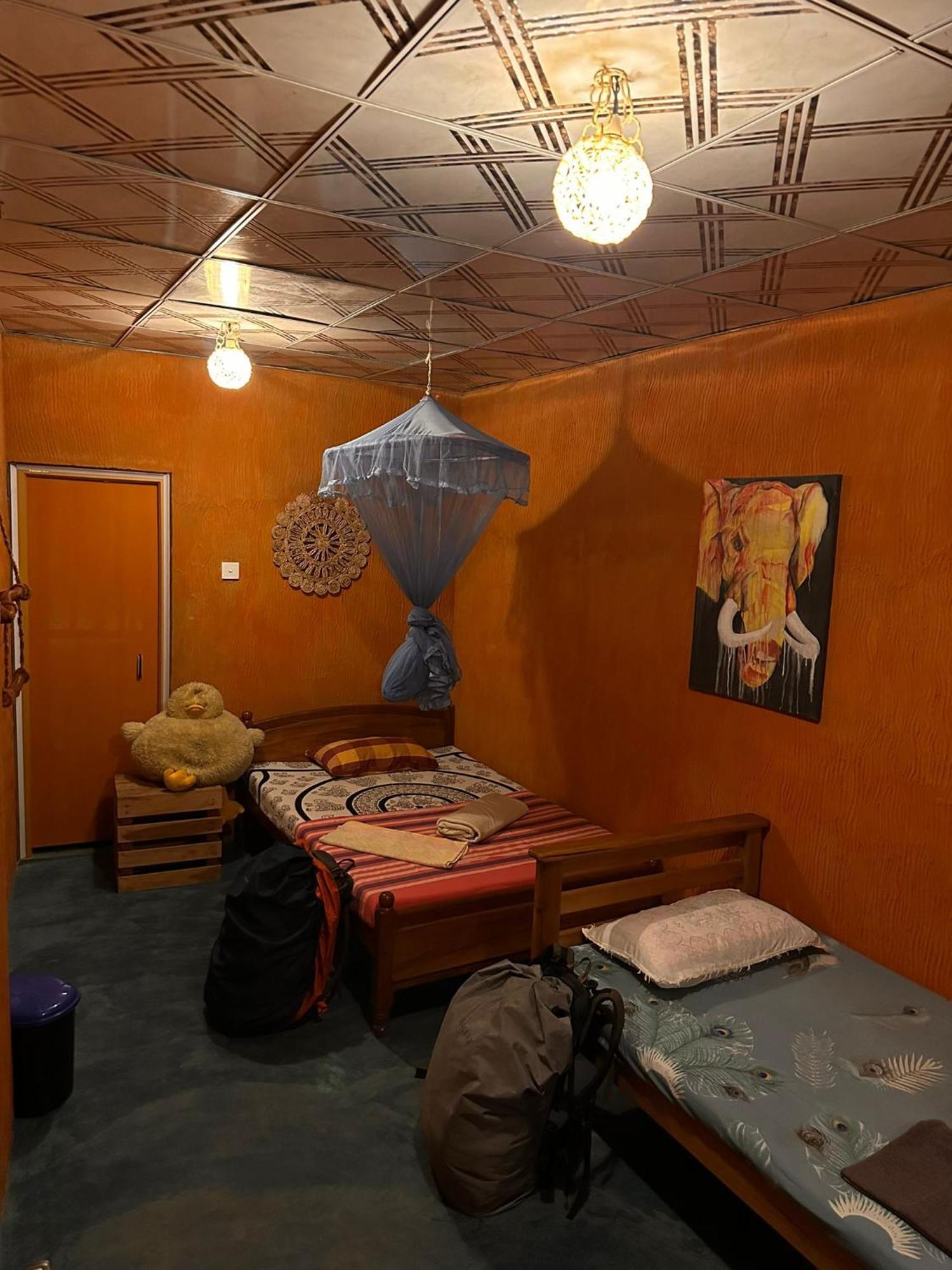 Hostal Tree House Ела Екстериор снимка