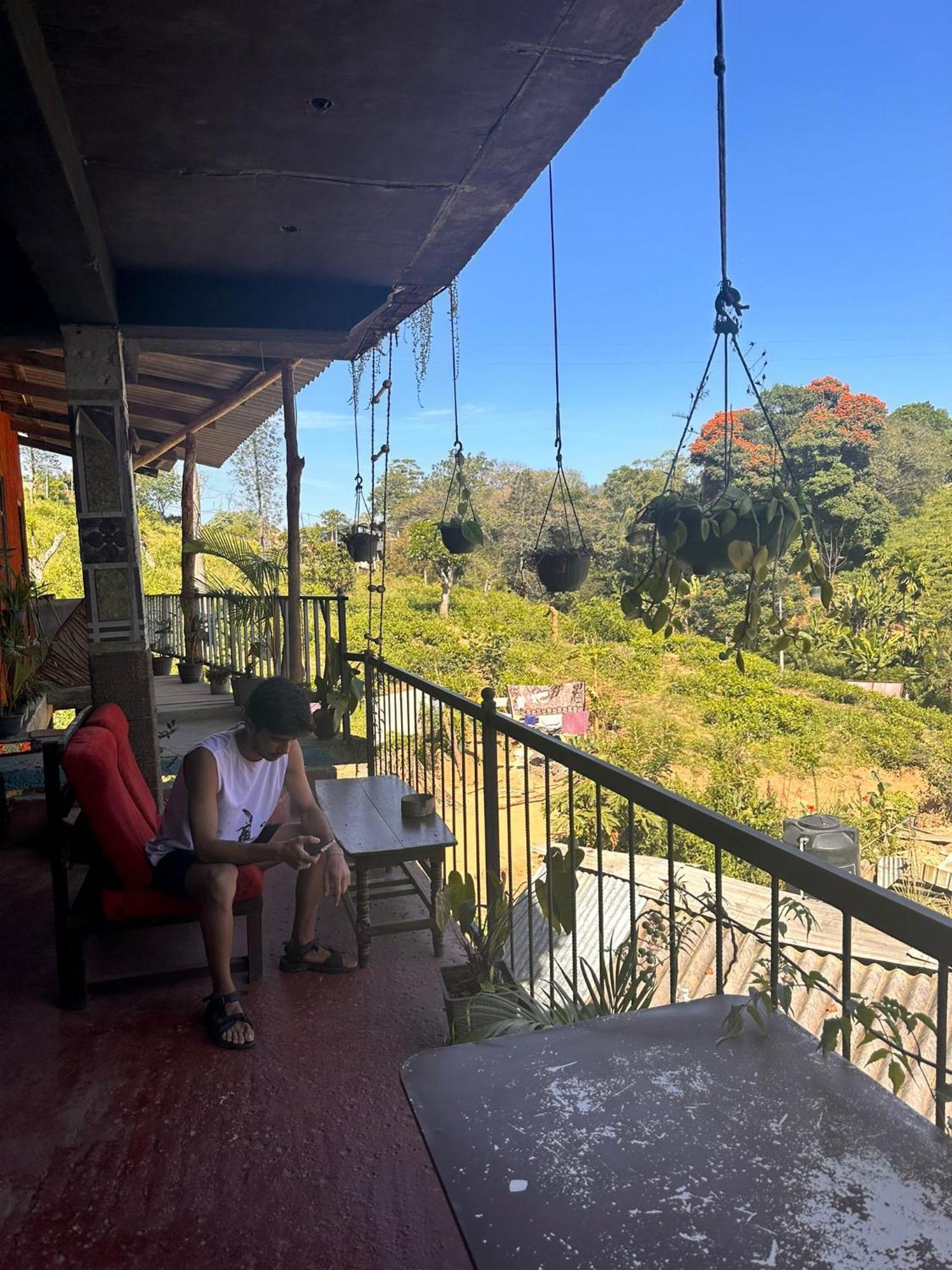 Hostal Tree House Ела Екстериор снимка